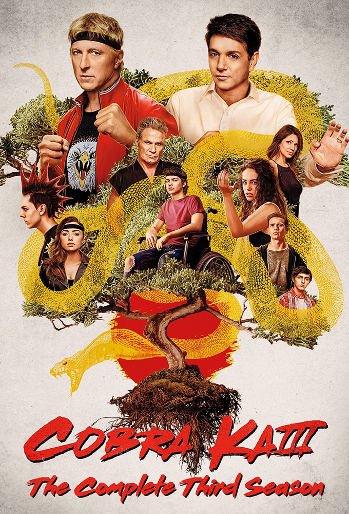 Cobra Kai - Season 3 [300091] (A1721478268) [[TV Shows]] --Plex--